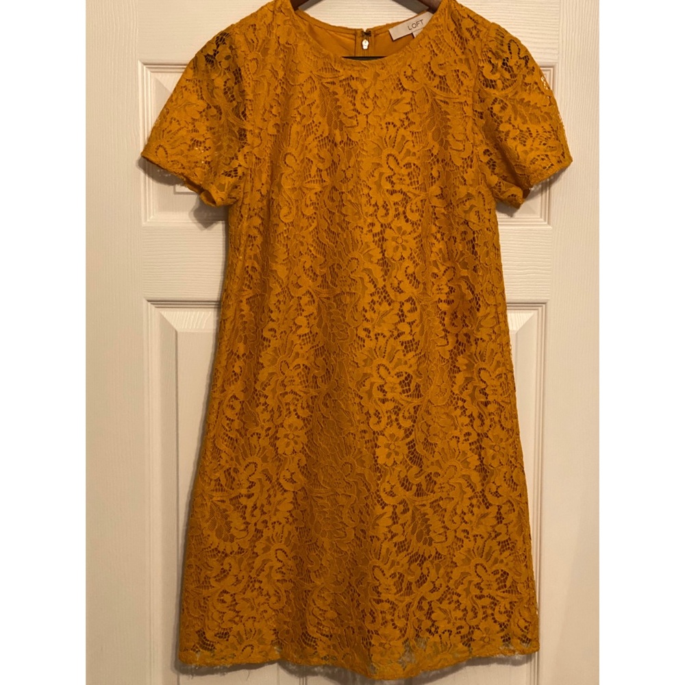 LOFT Lace Swing Dress